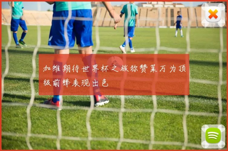 加维期待世界杯之旅称赞莱万为顶级前锋表现出色