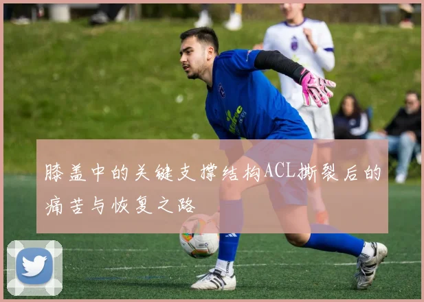 膝盖中的关键支撑结构ACL撕裂后的痛苦与恢复之路